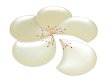 [Made in Japan] Ume hanabira plum (White) Small plates (five pieces of sets)