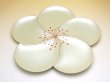 Photo2: Small Plate (five pieces of sets) Ume hanabira plum (White) (2)