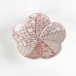 Photo2: Plum Blossom-Shaped Small Plate Nishiki Shonzui Red (9 cm/3.5 in) (2)