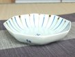 Photo2: Medium Bowl (18.6cm) Minori (2)
