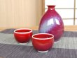 Photo2: Sake set 1 pc Tokkuri bottle and 2 pcs Cups Shinsha (2)