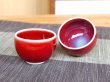 Photo4: Sake set 1 pc Tokkuri bottle and 2 pcs Cups Shinsha (4)