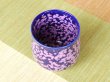 Photo3: Yunomi Tea Cup for Green Tea Shikouyu (Small) (3)