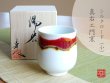 [Made in Japan] Silk road (Small)Japanese green tea cup (wooden box)