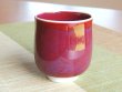 Photo2: Yunomi Tea Cup for Green Tea Naigai Shinsha (Large) (2)