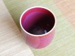 Photo3: Yunomi Tea Cup for Green Tea Naigai Shinsha (Large) (3)