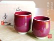 [Made in Japan] Naigai Shinsha (pair) Japanese green tea cup (wooden box)