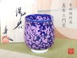 [Made in Japan] Shikouyu (Large)Japanese green tea cup (wooden box)