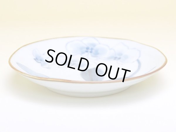 Photo2: Medium Plate (14.6cm) Kochouran (2)