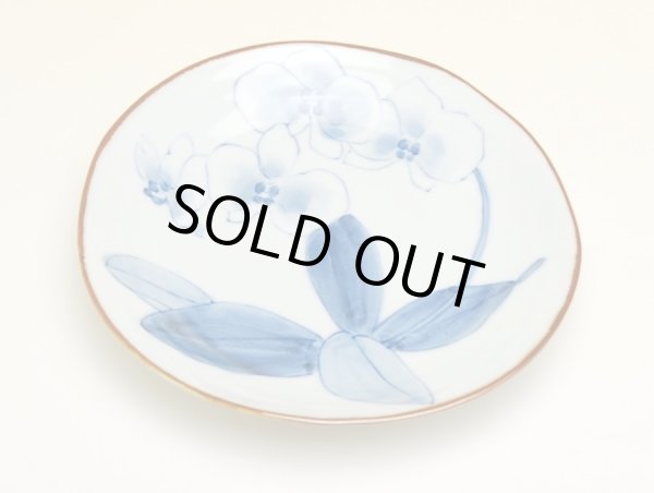 Photo3: Medium Plate (14.6cm) Kochouran (3)