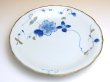 Photo2: Large Plate (21cm) Somenishiki hana botan (2)