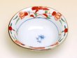 Photo3: Small Bowl (11.2cm) Hana kazari (3)