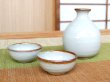 Photo2: Sake set 1 pc Tokkuri bottle and 2 pcs Cups Karatsu kohiki (2)