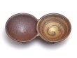 Photo2: Small Bowl Chausukin (11.4cm/4.5in) (2)