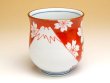 Photo2: Yunomi Tea Cup for Green Tea Nabeshima Mr.fuji (2)