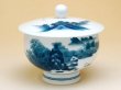 Photo2: Tea Cup set for Green Tea 5 pcs Cups Nabeshima sansui Landscape (2)