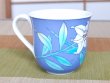 Photo2: Mug Ruri Casablanca (2)