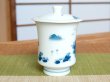 Photo4: Yunomi Tea Cup with Lid for Green Tea Nabeshima sansui Landscape (Large) (4)