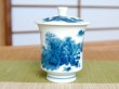 Photo2: Yunomi Tea Cup with Lid for Green Tea Nabeshima sansui Landscape (Small) (2)