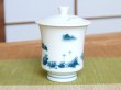 Photo4: Yunomi Tea Cup with Lid for Green Tea Nabeshima sansui Landscape (Small) (4)