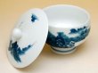 Photo2: Yunomi Tea Cup with Lid for Green Tea Nabeshima Sansui Landscape (2)