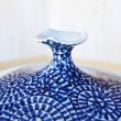 Photo7: Sometsuke Tako-Karakusa Sansui Large Vase by Kinsai Fujii (7)