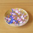 Photo4: Decorative Plate 16.6cm Kinsai Ume Plum tree | Kinryugama Kiln work (4)