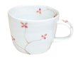 [Made in Japan] Kroeber (Red) mug