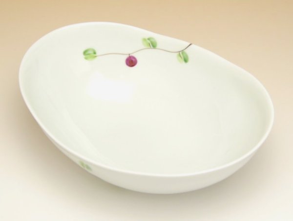 Photo2: Large Bowl (22.4cm) Honomi (2)