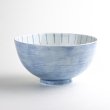 Photo3: Donburi Bowl for Noodles Seikai (16cm/6.3in) (3)