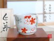 [Made in Japan] Akae Sakura chirashi SAKE cup