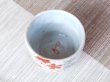 Photo3: Sake Cup Akae Sakura chirashi (3)