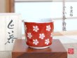 [Made in Japan] Akadami ume SAKE cup