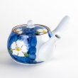 Photo1: Teapot Kyusu Dami Tsubaki Camellia (1)