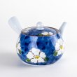 Photo4: Teapot Kyusu Dami Tsubaki Camellia (4)