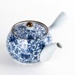 Photo1: Teapot Kyusu Dami Karakusa Ivy (1)
