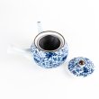 Photo7: Teapot Kyusu Dami Karakusa Ivy (7)