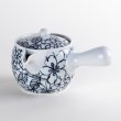 Photo2: Teapot Kyusu Garden (2)