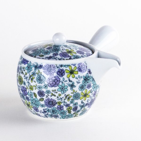 Photo1: Teapot Kyusu Campagne (1)