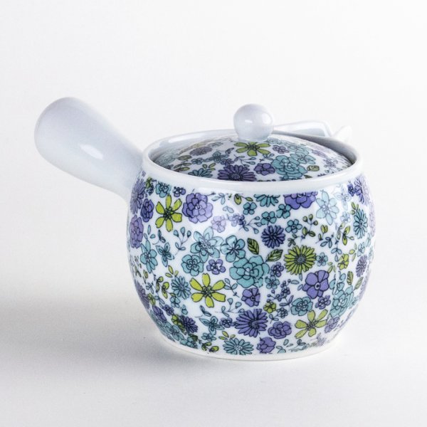Photo4: Teapot Kyusu Campagne (4)