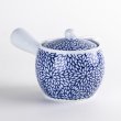 Photo4: Teapot Kyusu Kikka Blue Chrysanthemum (4)
