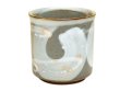 [Made in Japan] Ariake cup