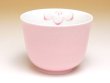 Photo3: Tea set for Green Tea 1 pc Teapot and 5 pcs Cups Pink flower (3)