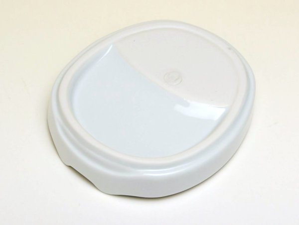 Photo4: Small Plate for soy sauce (10.7cm) Tako karakusa (4)