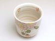 Photo2: Yunomi Tea Cup for Green Tea Hanano (Small) (2)