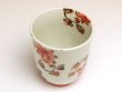 Photo3: Yunomi Tea Cup for Green Tea Saika karakusa (Red) (3)