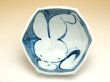 Photo2: Donburi Bowl for Noodles (16.5cm) Akae usagi Rabbit (2)