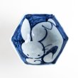 Photo2: Small Bowl Rabbit Akae Usagi (12.2 cm/4.8 in) (2)