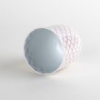 Photo4: Yunomi Tea Cup for Green Tea Naigai Ami Red (4)