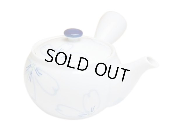 [Made in Japan] Utage Teapot
